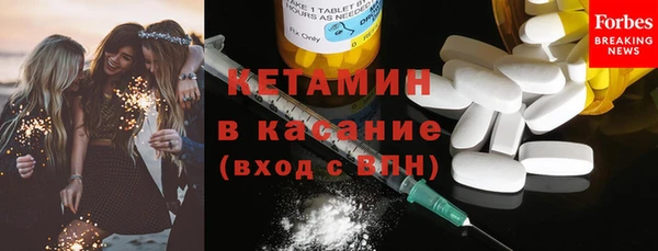 прущие грибы Верея