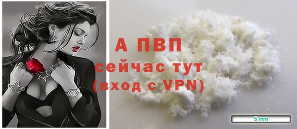 амф Бородино