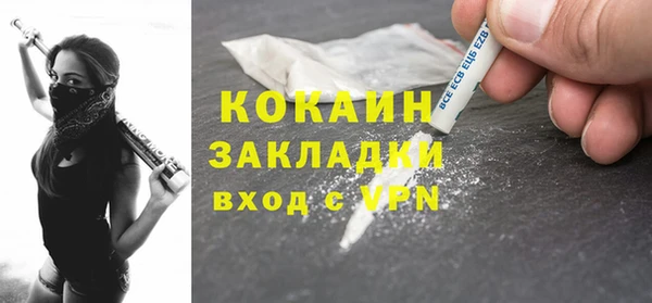 амф Бородино