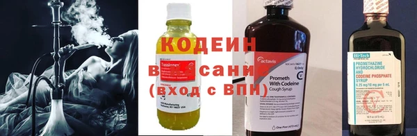 прущие грибы Верея