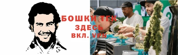 амф Бородино