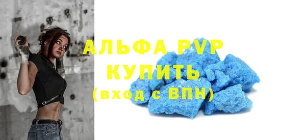 прущие грибы Верея
