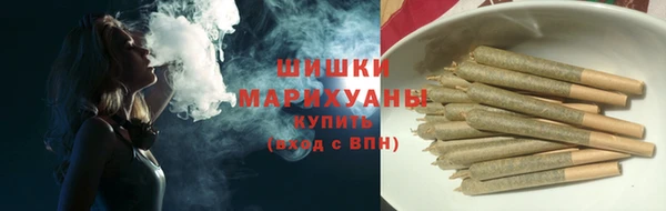 прущие грибы Верея