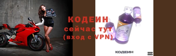 прущие грибы Верея
