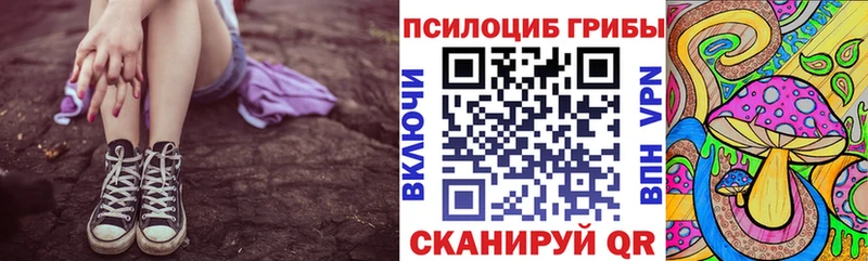сколько стоит  Бийск  Псилоцибиновые грибы Cubensis 