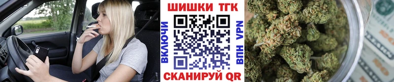 mega   Бийск  Конопля план 